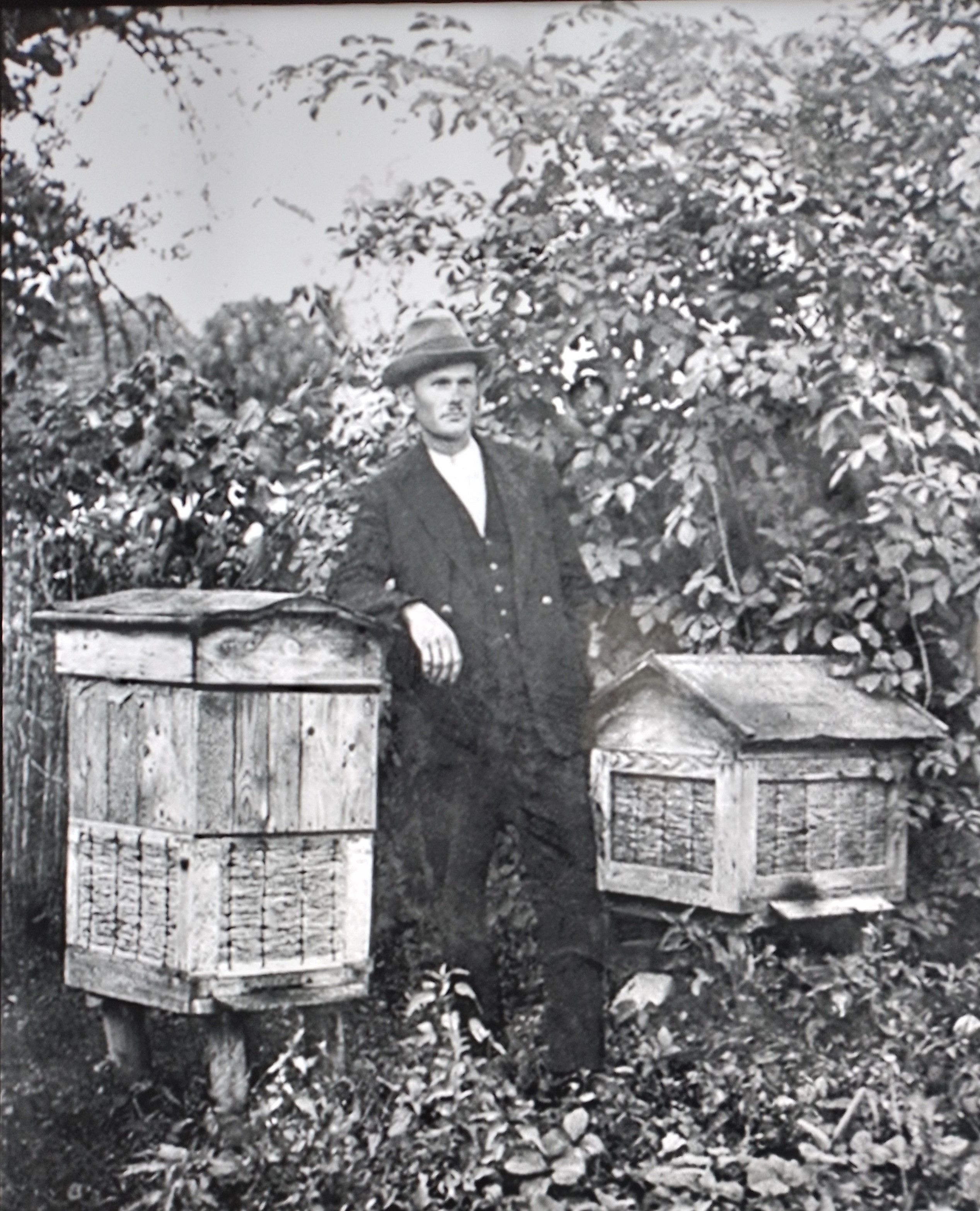 Jozef Ulma at his apiary sourced from the collections of relatives of the Ulma family and documented by Institute of National Remembrance in Poland  